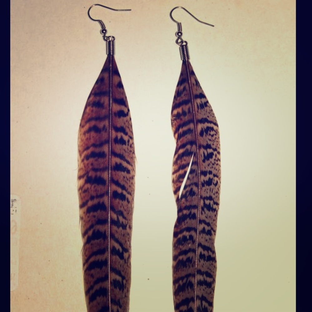 2pairs of Long Falcon Feather Earrings